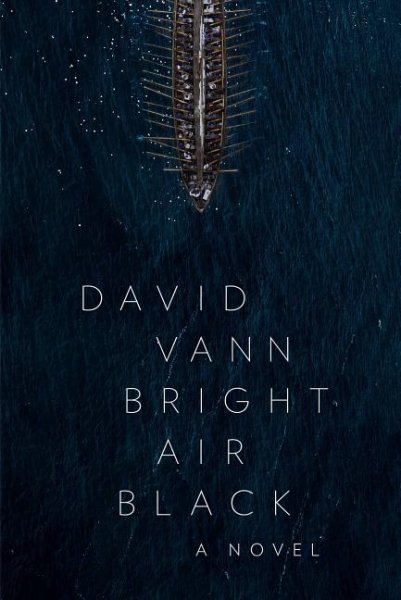 Bright Air Black: A Novel cover