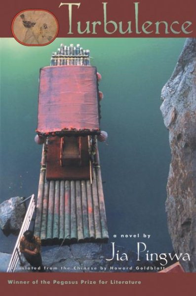 Turbulence: A Novel (Pegasus Prize for Literature) cover