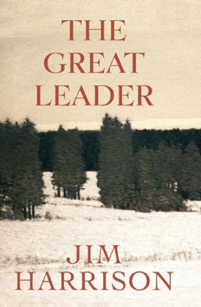 The Great Leader: A Faux Mystery cover