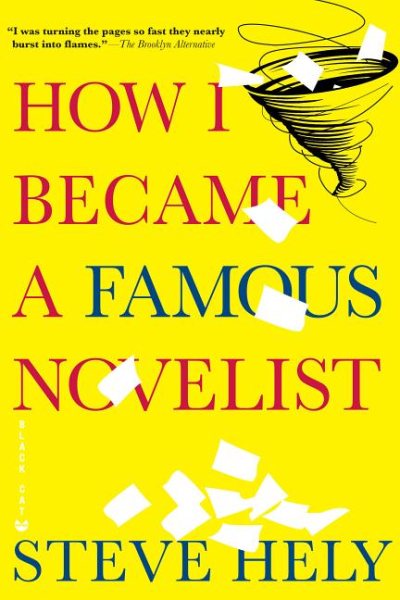 How I Became a Famous Novelist cover