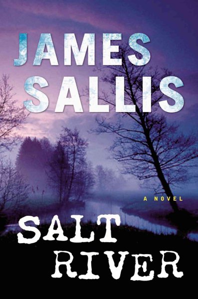 Salt River: A Novel (John Turner Series) cover