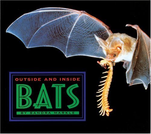 Outside and Inside Bats (Outside and Inside (Walker & Company)) cover