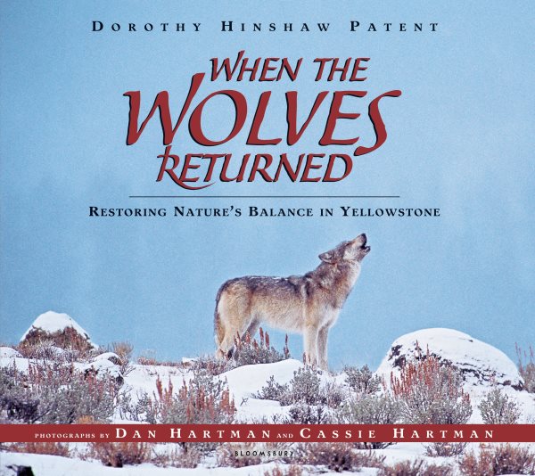When the Wolves Returned: Restoring Nature's Balance in Yellowstone cover