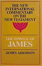 The Epistle of James (The New  International Commentary on the New Testament) cover