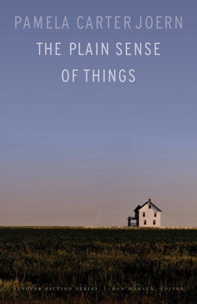 The Plain Sense of Things (Flyover Fiction) cover