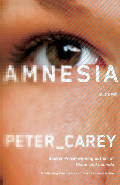 Amnesia (Vintage International) cover