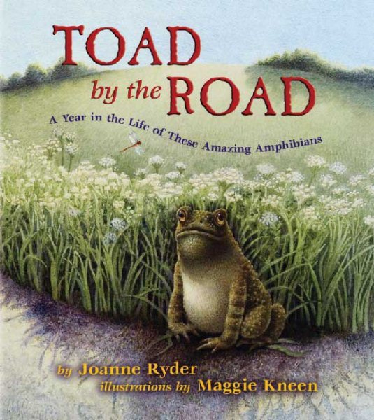 Toad by the Road: A Year in the Life of These Amazing Amphibians cover