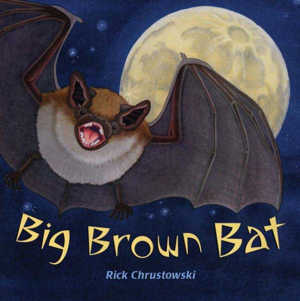 Big Brown Bat cover