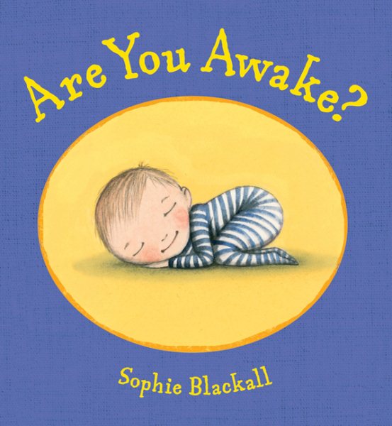 Are You Awake?: A Picture Book cover