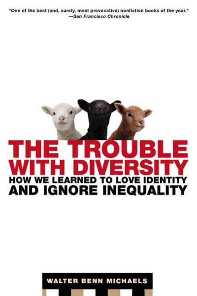 The Trouble with Diversity: How We Learned to Love Identity and Ignore Inequality cover