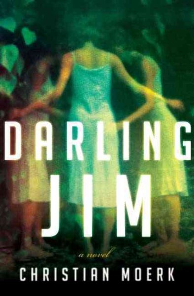 Darling Jim: A Novel cover