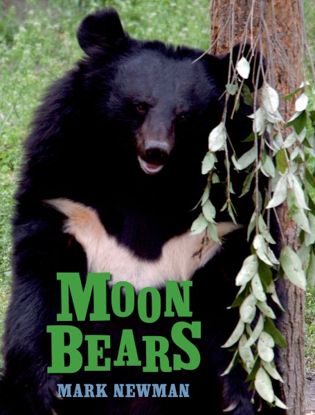 Moon Bears cover