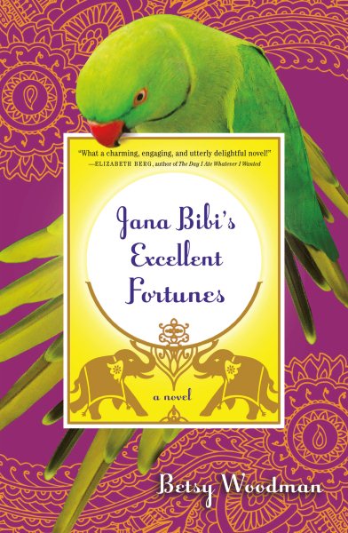 Jana Bibi's Excellent Fortunes: A Novel (Jana Bibi Adventures, 1) cover