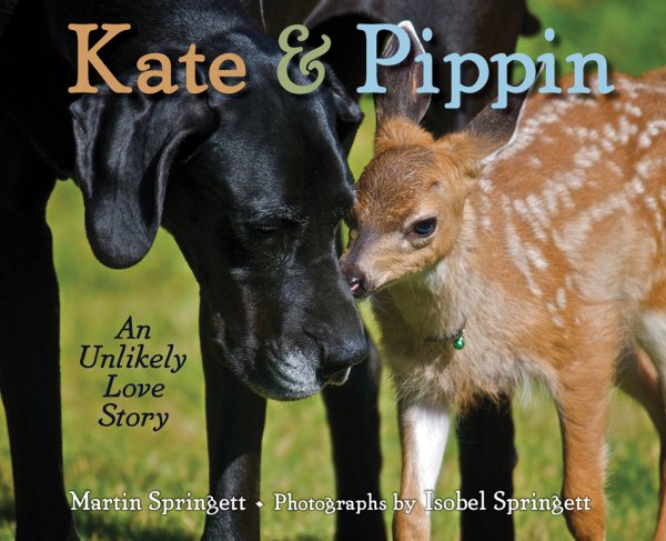 Kate & Pippin: An Unlikely Love Story cover