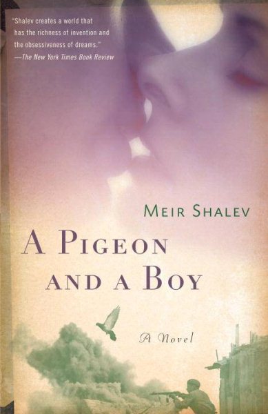 A Pigeon and a Boy: A Novel cover