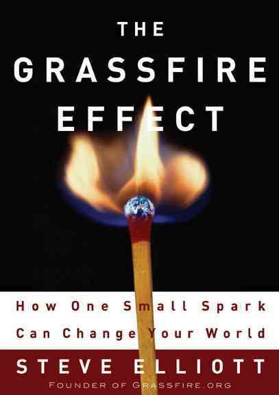 The Grassfire Effect: How One Small Spark Can Change Your World cover