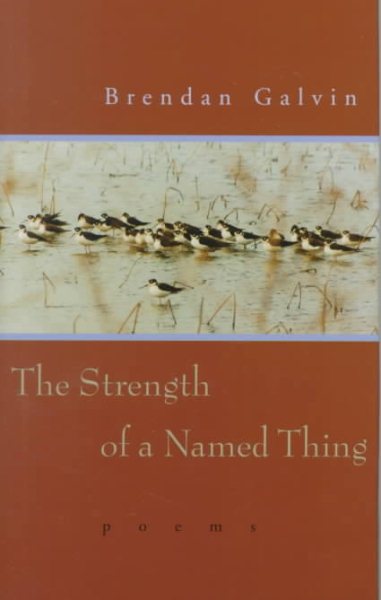 Strength of a Named Thing: Poems cover