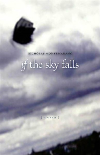 If the Sky Falls: Stories (Yellow Shoe Fiction) cover
