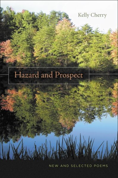 Hazard and Prospect: New and Selected Poems cover