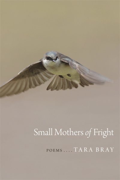 Small Mothers of Fright: Poems (Goat Island Poetry) cover