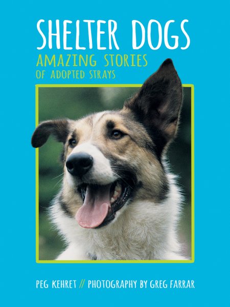 Shelter Dogs: Amazing Stories of Adopted Strays cover