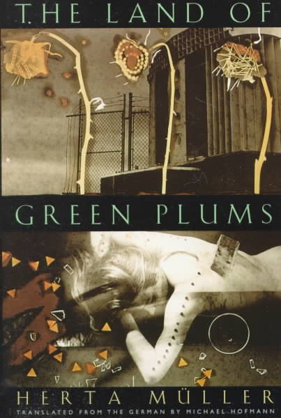 The Land of Green Plums cover