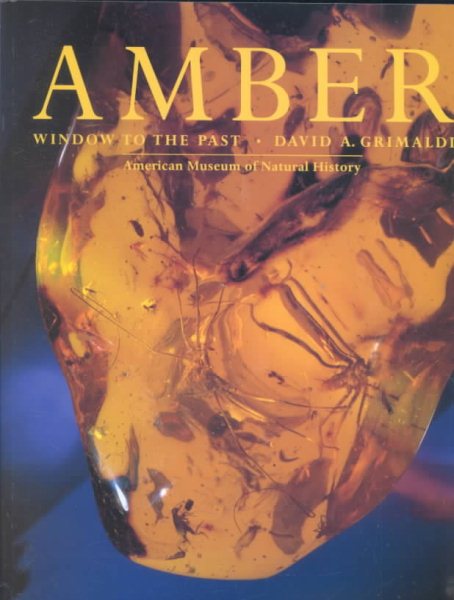 Amber: Window to the Past cover