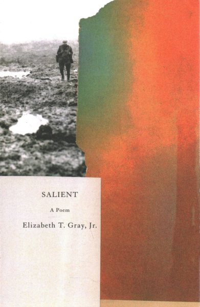 Salient cover