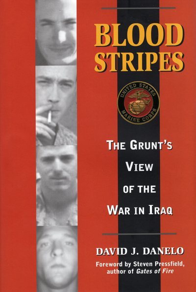 Blood Stripes: The Grunt's View of the War in Iraq cover