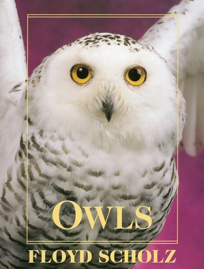 Owls: An Artist's Guide to Understanding Owls cover