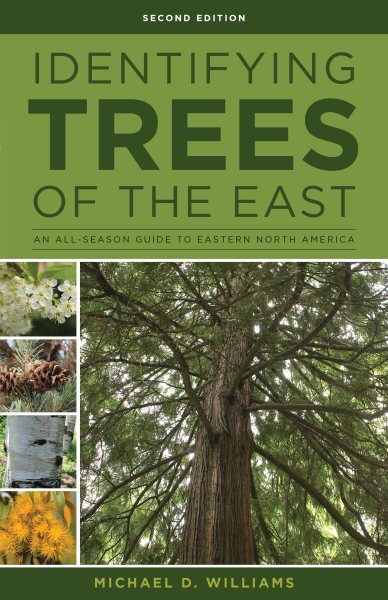 Identifying Trees of the East: An All-Season Guide to Eastern North America cover