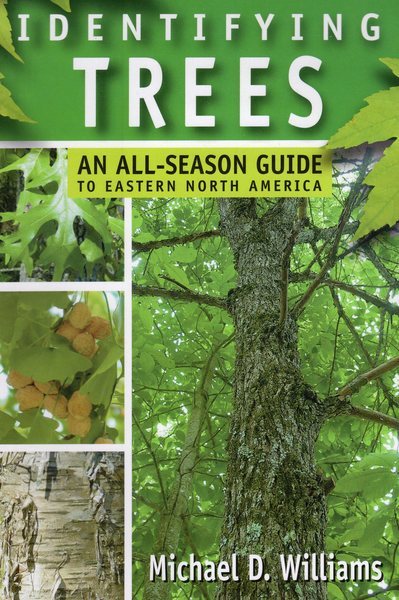 Identifying Trees: An All-Season Guide to Eastern North America cover