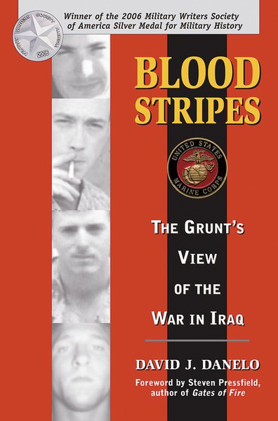 Blood Stripes - The Grunt's View of the War in Iraq cover