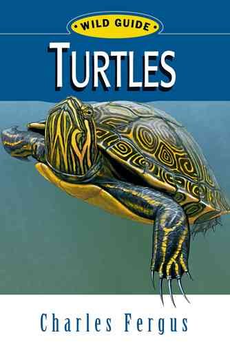 Turtles: Wild Guide (Wild Guide Series) cover