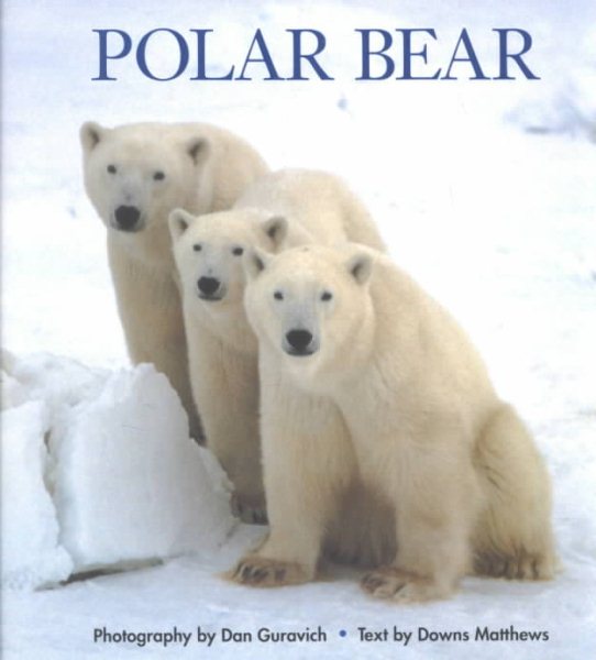 Polar Bear cover