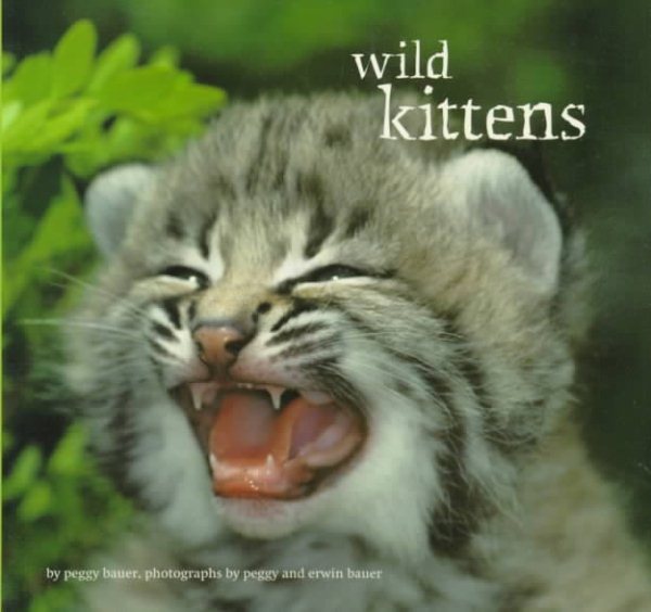 Wild Kittens cover