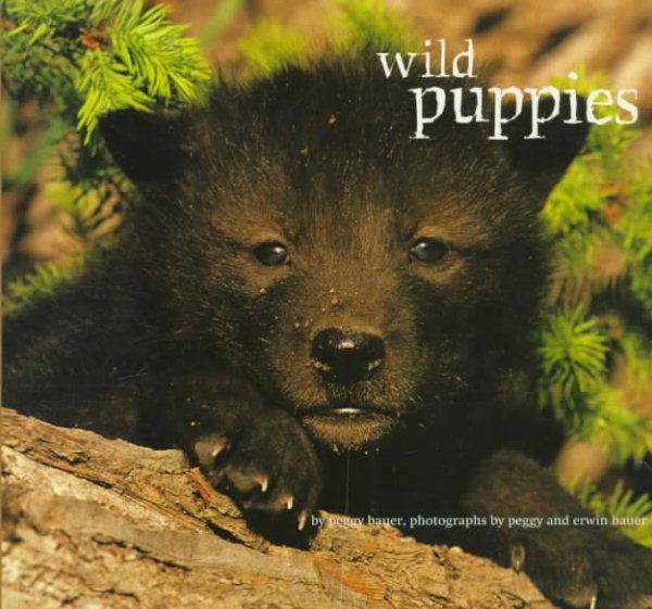 Wild Puppies cover