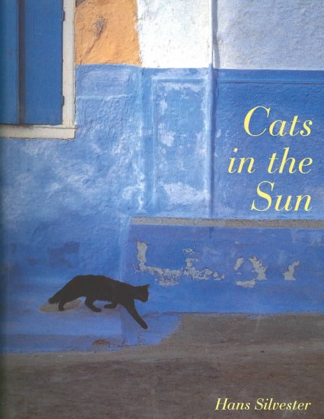 Cats in the Sun cover
