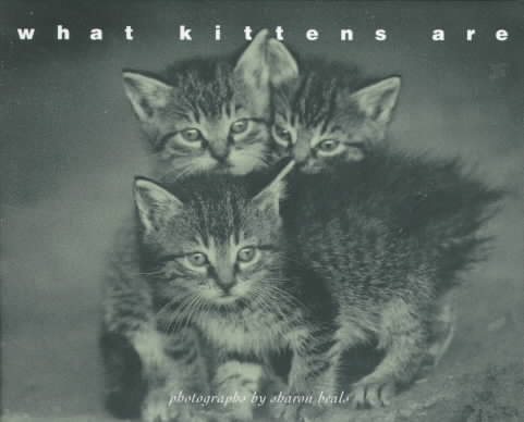 What Kittens Are