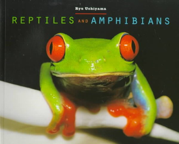 Reptiles and Amphibians cover