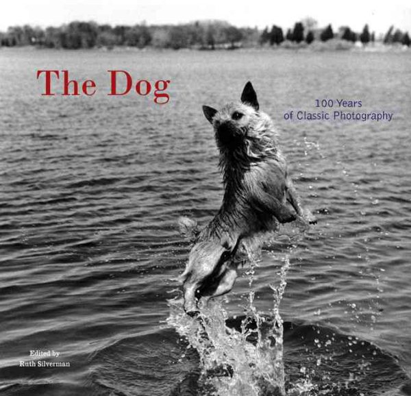 The Dog: 100 Years of Classic Photography cover
