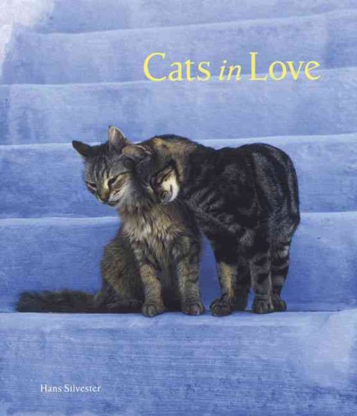 Cats in Love cover
