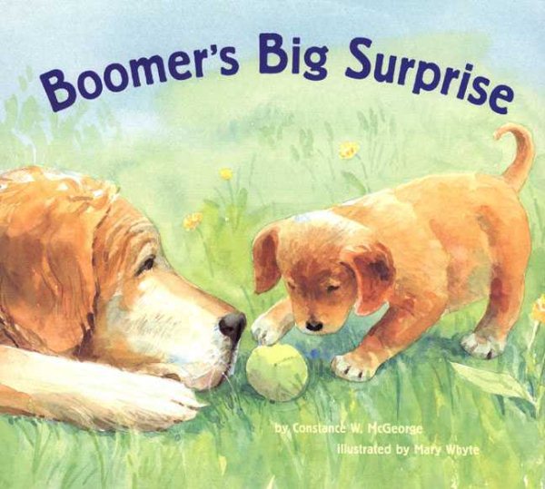 Boomer's Big Surprise cover
