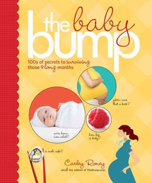 The Baby Bump: 100s of Secrets to Surviving Those 9 Long Months cover