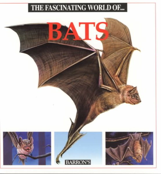 The Fascinating World Of...Bats cover
