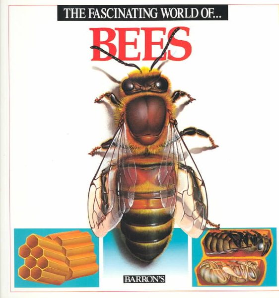 The Fascinating World of Bees cover