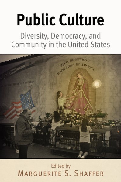 Public Culture: Diversity, Democracy, and Community in the United States cover