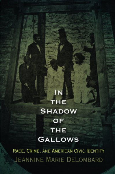 In the Shadow of the Gallows: Race, Crime, and American Civic Identity (Haney Foundation Series) cover