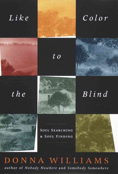 Like Color to the Blind:: Soul Searching and Soul Finding cover