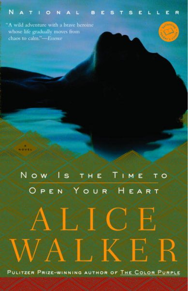 Now Is the Time to Open Your Heart: A Novel cover